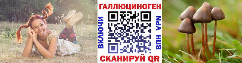 Псилоцибиновые грибы Psilocybe  купить закладку  Семёнов 