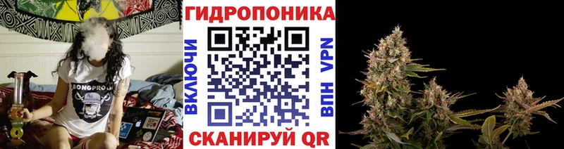 где купить наркоту  Семёнов  Шишки марихуана план 